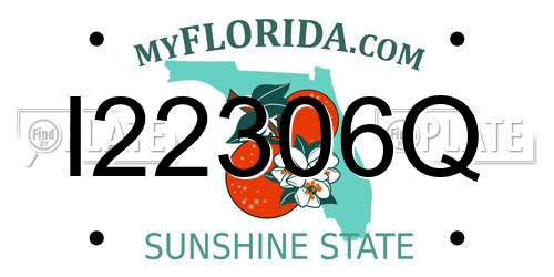 I22306Q Florida License Plate