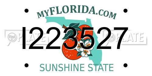 I223527 Florida License Plate
