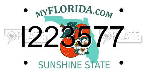 I223577 Florida License Plate