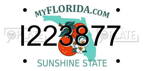 I223877 Florida License Plate