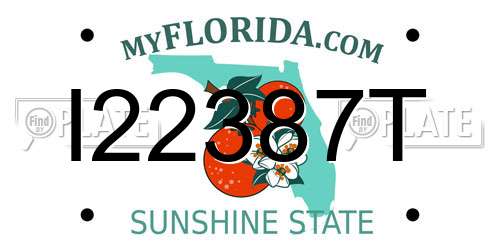 I22387T Florida License Plate