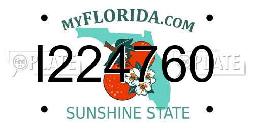 I224760 Florida License Plate