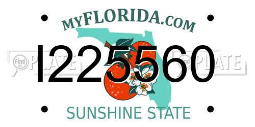 I225560 Florida License Plate