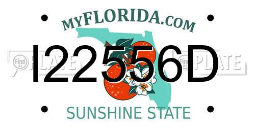 I22556D Florida License Plate