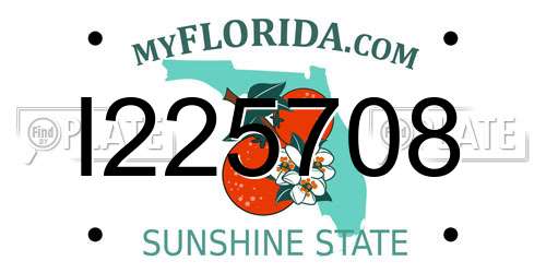 I225708 Florida License Plate
