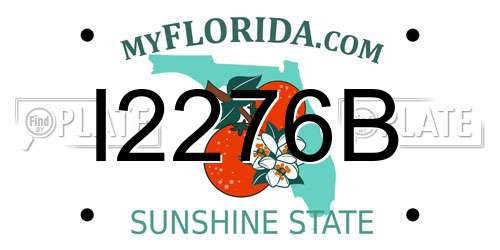 I2276B Florida License Plate