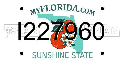 I227960 Florida License Plate