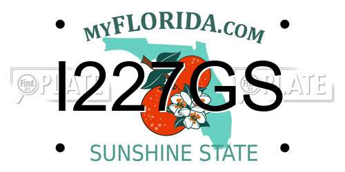 I227GS Florida License Plate