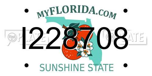 I228708 Florida License Plate
