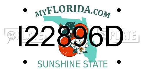 I22896D Florida License Plate