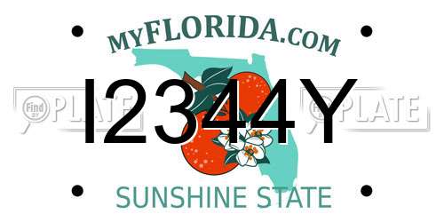 I2344Y Florida License Plate