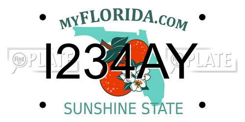 I234AY Florida License Plate