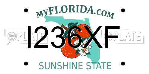 I236XF Florida License Plate