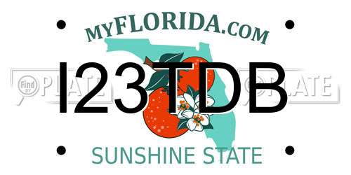 I23TDB Florida License Plate