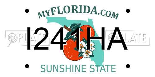 I241HA Florida License Plate