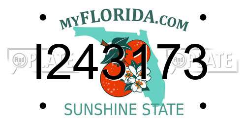 I243173 Florida License Plate