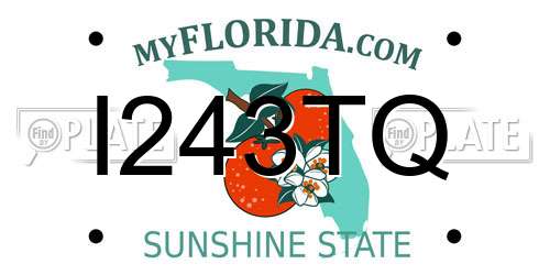 I243TQ Florida License Plate
