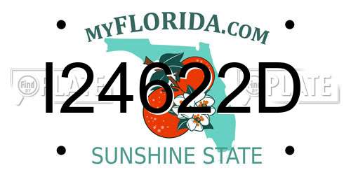 I24622D Florida License Plate