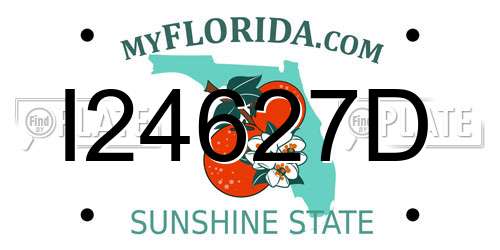 I24627D Florida License Plate