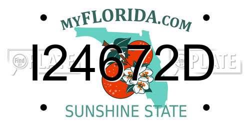 I24672D Florida License Plate