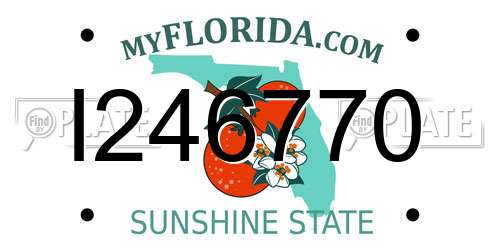 I246770 Florida License Plate