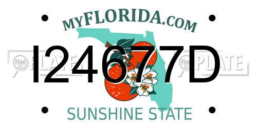 I24677D Florida License Plate