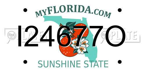 I24677O Florida License Plate