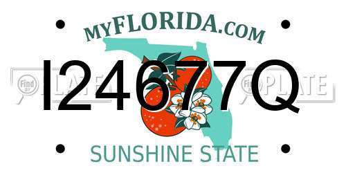 I24677Q Florida License Plate