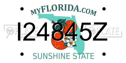 I24845Z Florida License Plate