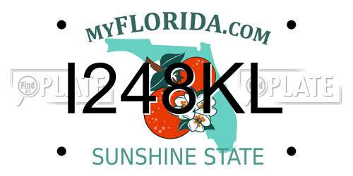 I248KL Florida License Plate