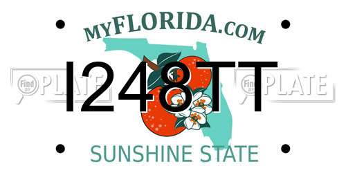 I248TT Florida License Plate
