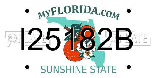 I25182B Florida License Plate