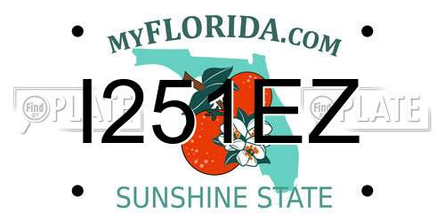 I251EZ Florida License Plate