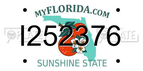 I252376 Florida License Plate