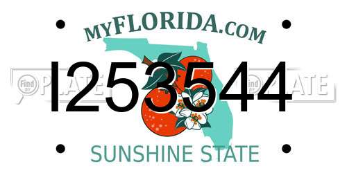 I253544 Florida License Plate