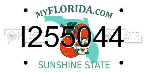 I255044 Florida License Plate
