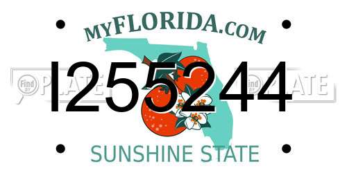 I255244 Florida License Plate