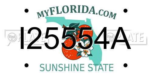I25554A Florida License Plate
