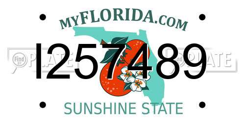 I257489 Florida License Plate