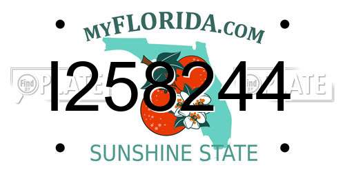 I258244 Florida License Plate