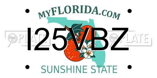 I25VBZ Florida License Plate