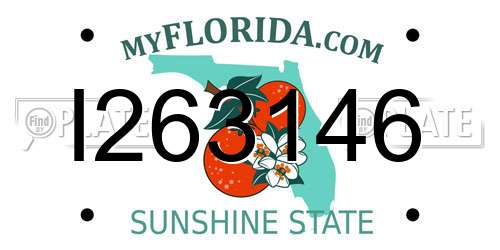 I263146 Florida License Plate