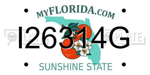 I26314G Florida License Plate