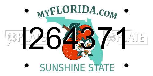 I264371 Florida License Plate