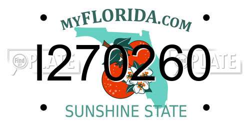 I270260 Florida License Plate
