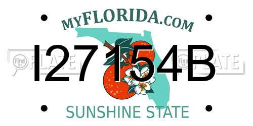 I27154B Florida License Plate