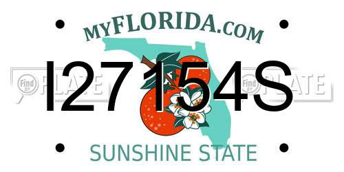I27154S Florida License Plate