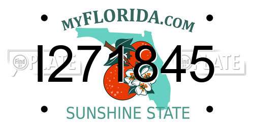 I271845 Florida License Plate