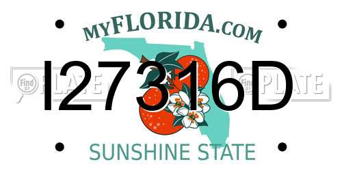 I27316D Florida License Plate
