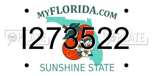 I273522 Florida License Plate